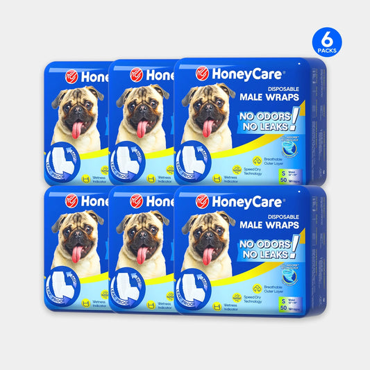 Six packs of HoneyCare disposable male wraps for dogs on a white background