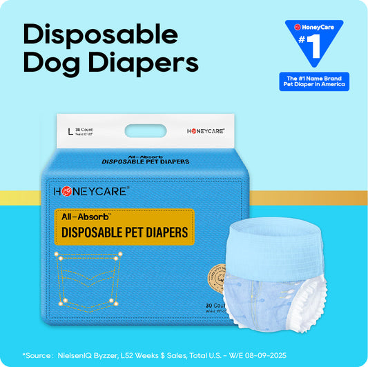 Honeycare disposable dog diapers packaging on a blue background