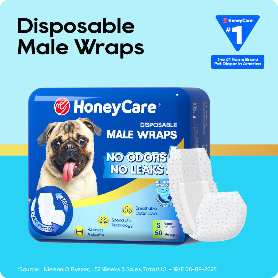 HoneyCare disposable male wraps packaging with a dog illustration on a blue background