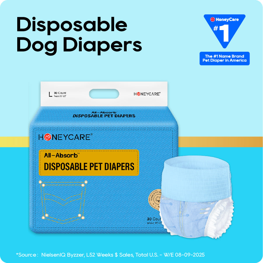 Honeycare disposable dog diapers packaging on a blue background